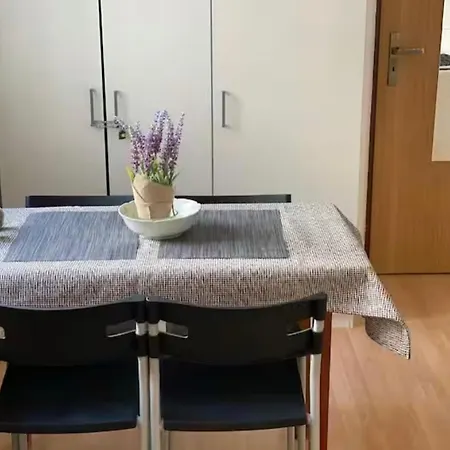 Adm Spacious In Center - Wifi, Coffee, Ac 公寓 布拉迪斯拉发