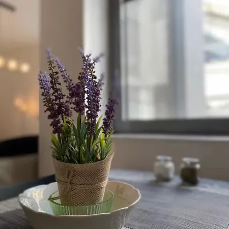 Adm Spacious In Center - Wifi, Coffee, Ac 布拉迪斯拉发