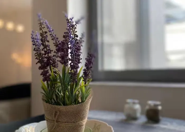 Adm Spacious In Center - Wifi, Coffee, Ac Братислава